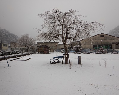 公園雪5