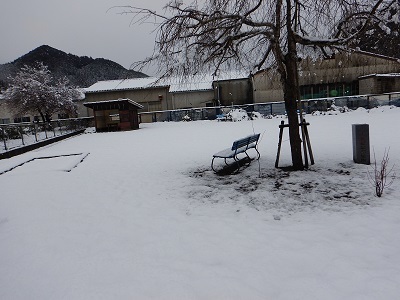 公園雪25