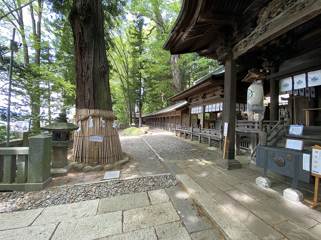 手長神社②　左片拝殿と回廊