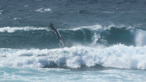 okinawa Windsurfing
