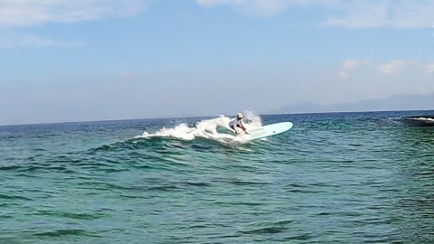 NSP SURF 8'4
