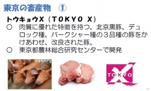 TokyoX.jpg
