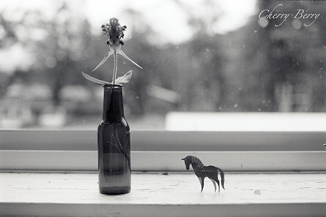 花瓶と馬