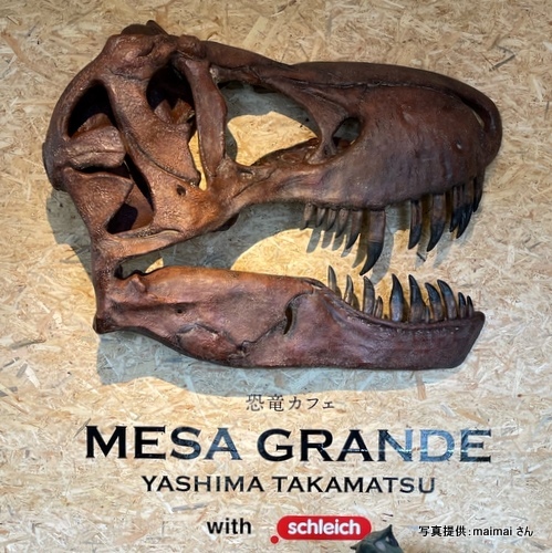 恐竜カフェ MESA GRANDE（メサグランデ）（香川県高松市）【こんなところで恐竜発見！】