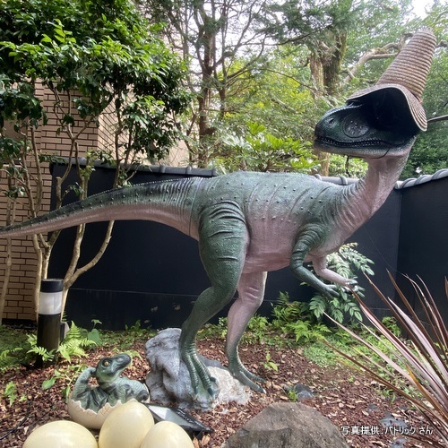 アンダリゾート伊豆高原（静岡県伊東市）【こんなところで恐竜発見！】