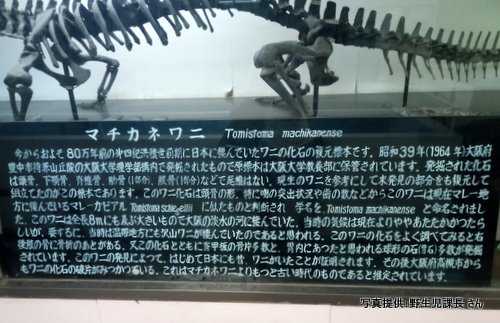 熱川バナナワニ園（静岡県 東伊豆町）【こんなところで恐竜発見！】