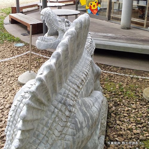 群馬県立自然史博物館（群馬県富岡市）【こんなところで恐竜発見！】