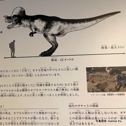 H.B.P HOTEL（大阪府大阪市）【こんなところで恐竜発見！】