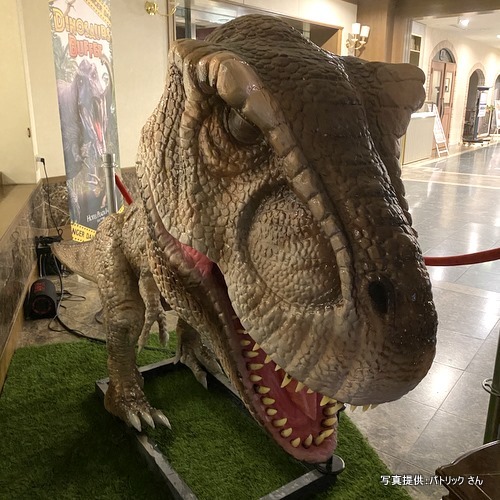 ホテルプラザ神戸（兵庫県神戸市）【こんなところで恐竜発見！】