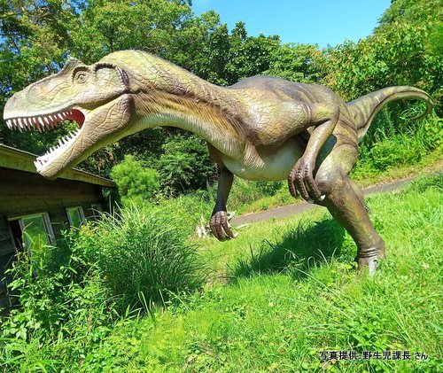 伊豆アニマルキングダム　恐竜が棲む森（静岡県 東伊豆町）【こんなところで恐竜発見！】