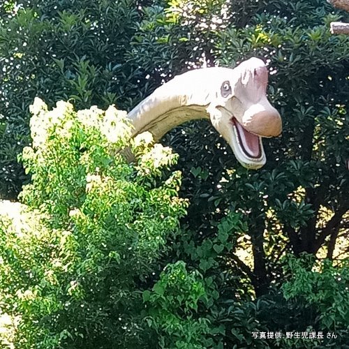 伊豆アニマルキングダム　恐竜が棲む森（静岡県 東伊豆町）【こんなところで恐竜発見！】