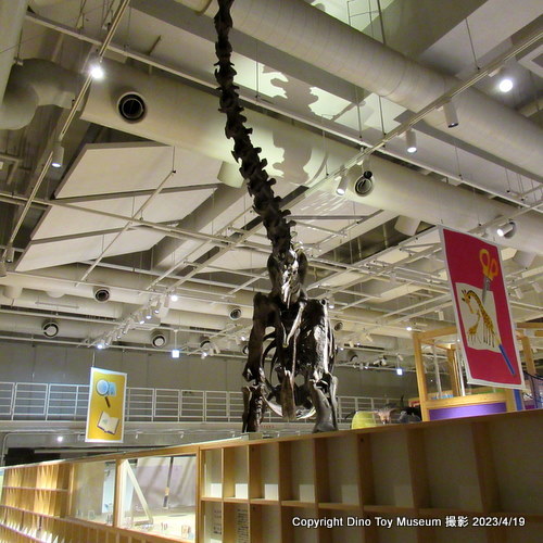 国立科学博物館　地球館3F　コンパスのティラノサウルス親子