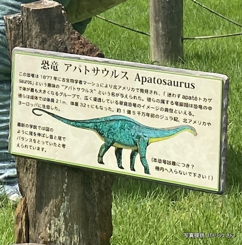 奇石博物館（静岡県富士宮市）【こんなところで恐竜発見！】