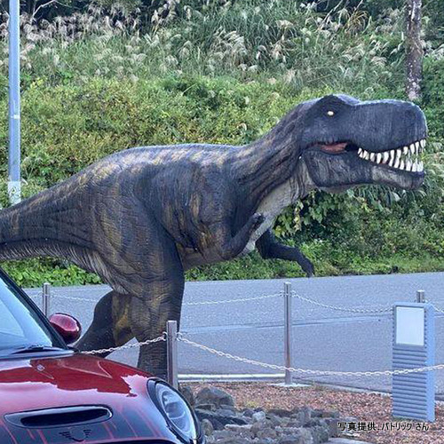 北谷町コミュニティセンター（福井県勝山市））【こんなところで恐竜発見！】