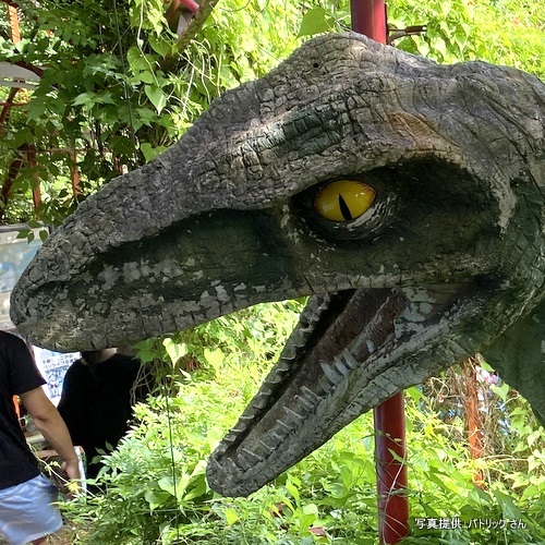 まぼろし博覧会の恐竜たち、今日も元気でした！　まぼろし博覧会（静岡県伊東市）