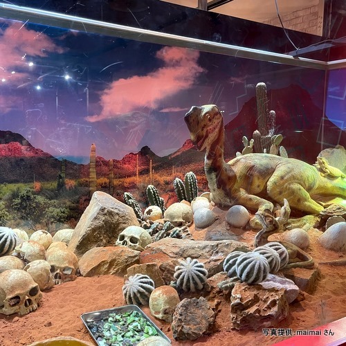 奈良いきものミュージアム（奈良県奈良市）【こんなところで恐竜発見！】