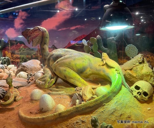 奈良いきものミュージアム（奈良県奈良市）【こんなところで恐竜発見！】