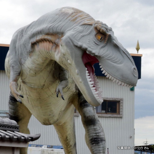 プロアート株式会社（奈良県広陵町）【こんなところで恐竜発見！】
