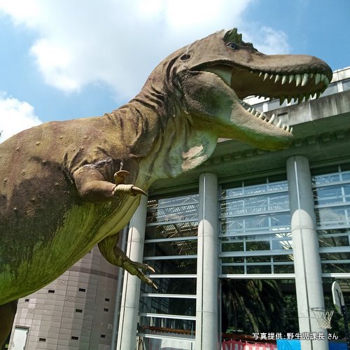 とちぎわんぱく公園（栃木県 壬生町）【こんなところで恐竜発見！】