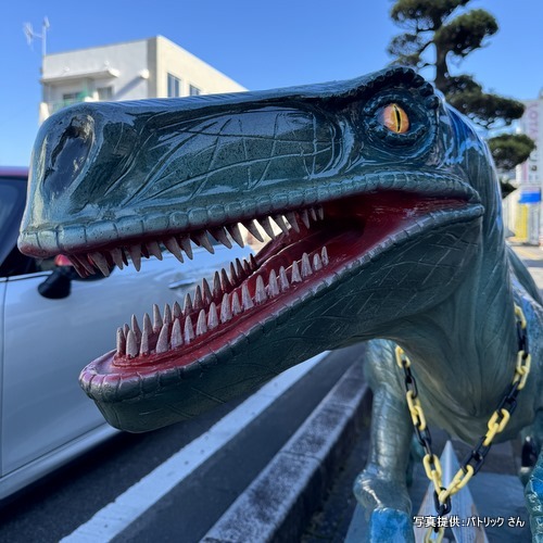 井上看板店（鹿児島県 出水市）【こんなところで恐竜発見！】