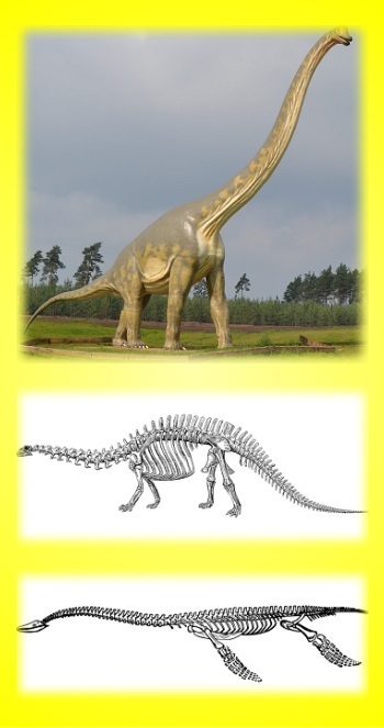 恐竜と化石