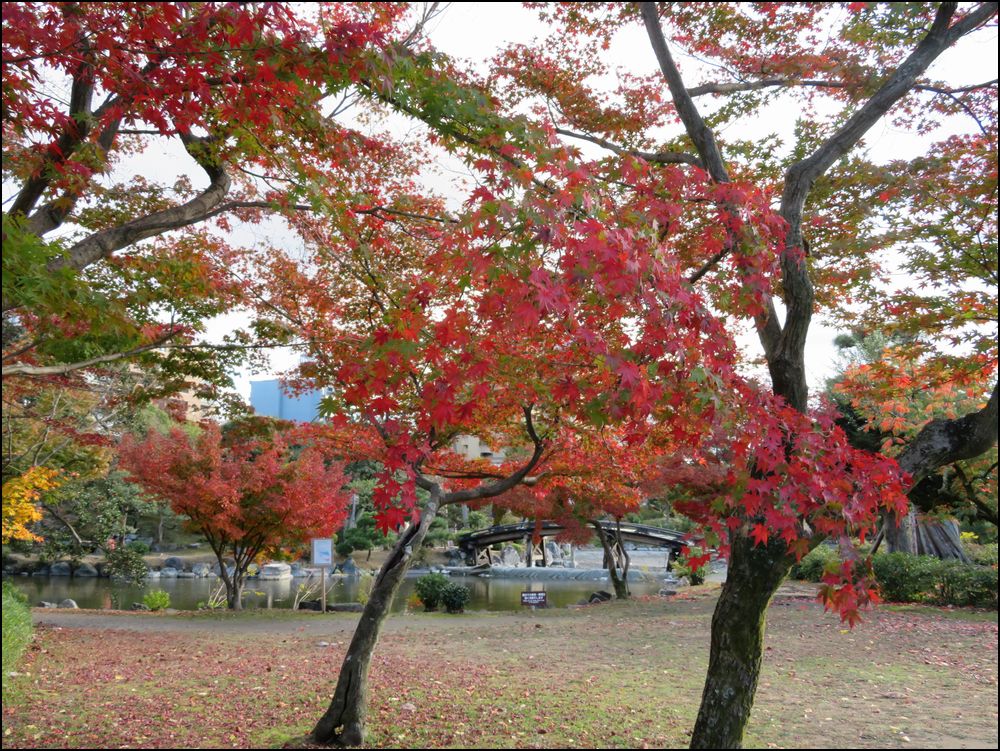 秋の渉成園/家光が寄進した庭＠京都市/下京区