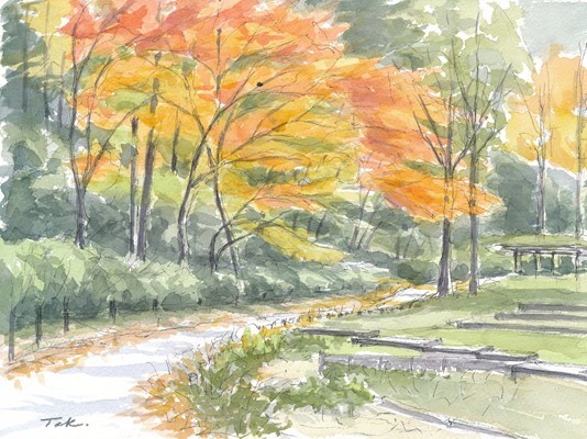 四季の森公園の紅葉（合成縮小）