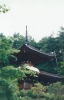 19970818　遠野　福泉寺多宝塔