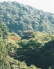 19980920清水寺　改修前の子安塔