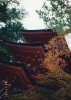 19931113 浄瑠璃寺　