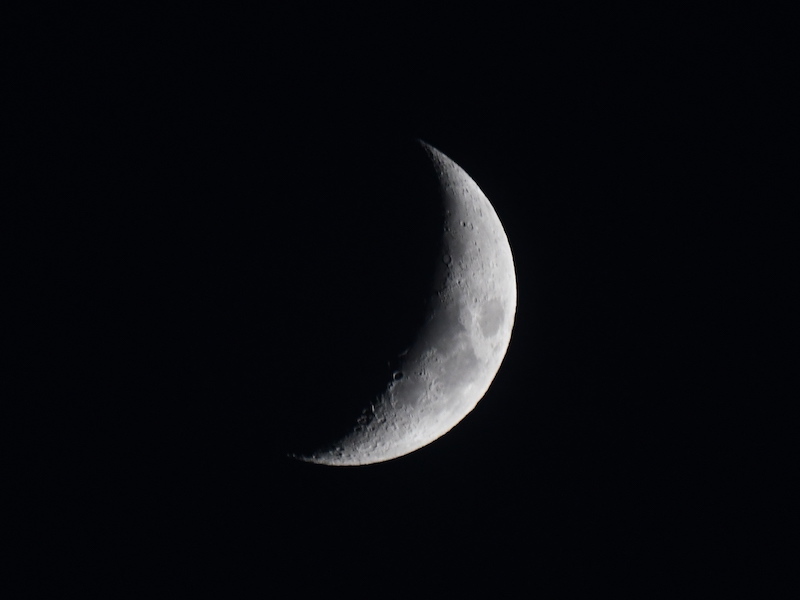 crescent_moon2023118_1.jpg