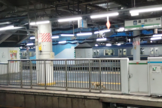 品川駅の野良猫０１