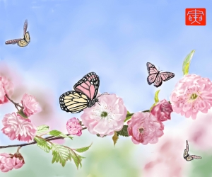 八重桜と蝶